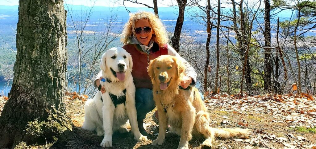 mountain view golden owner with dogs