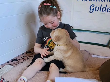 little girl sitting with a golden puppy